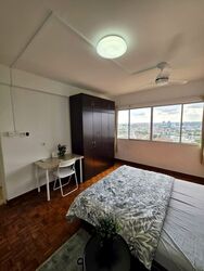 Lagoon View (D15), Apartment #587245451